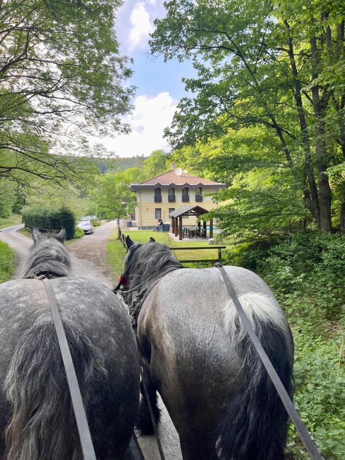 Hidegpataki Fakapu Vadaszhaz Abaújszántó Exteriör bild